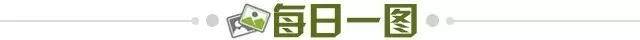 0e81d9ae-fcb5-485e-9111-77ae217effa8.jpg@!img01